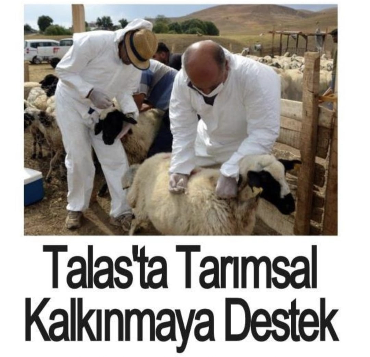 Talas’ta Tarımsal Kalkınmaya Destek