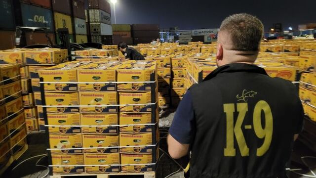 Mersin Limanı’nda muz yüklü konteynerde 11 kilo kokain ele geçirildi